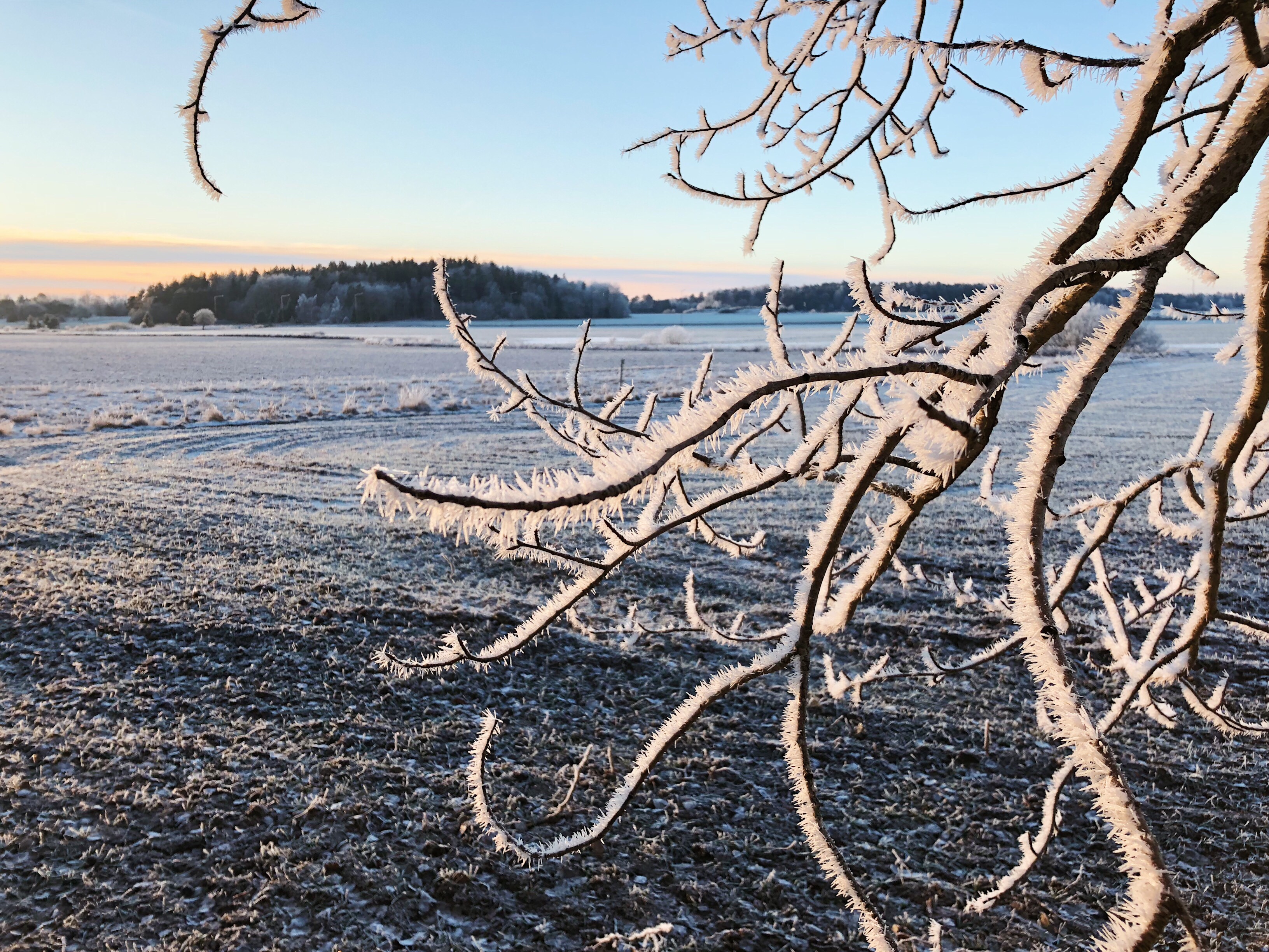 Vinterpromenad