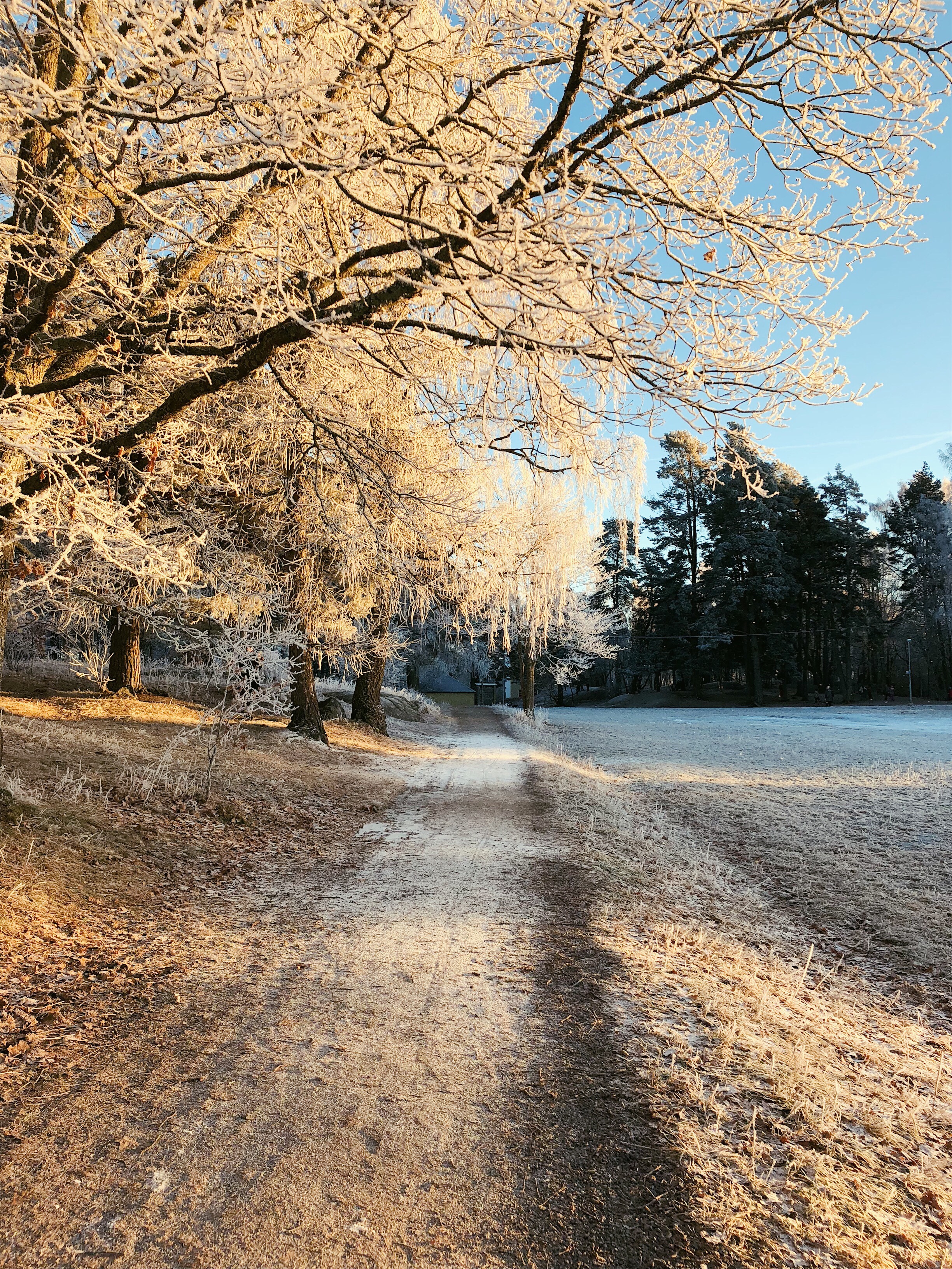 Vinterpromenad