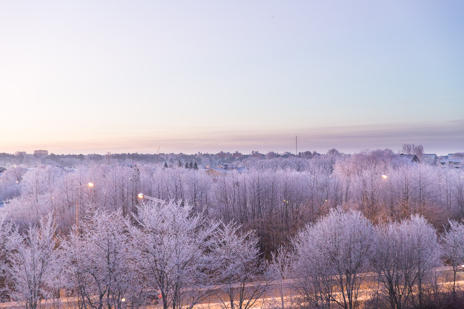En morgon i frost