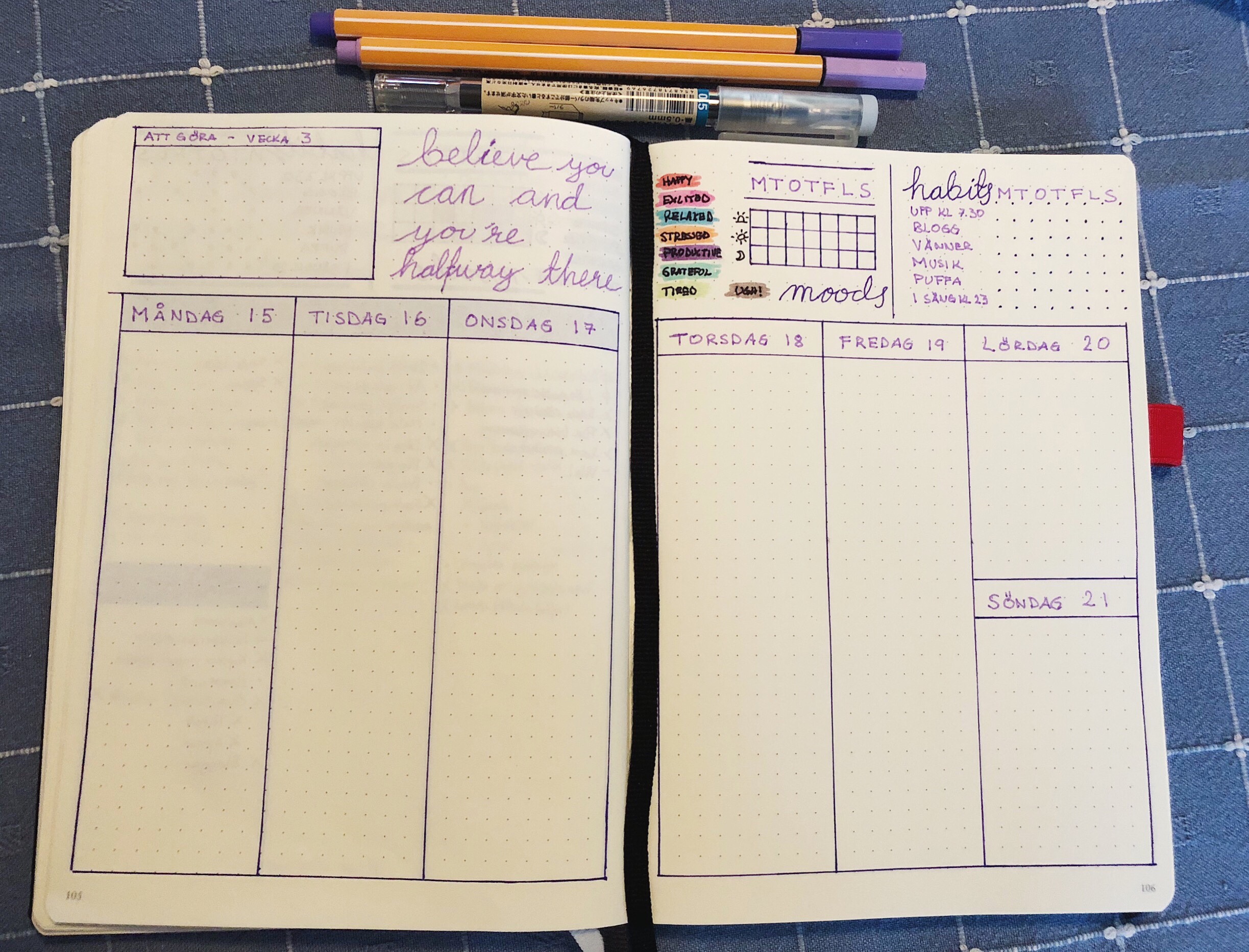 Veckans planering i min bullet journal